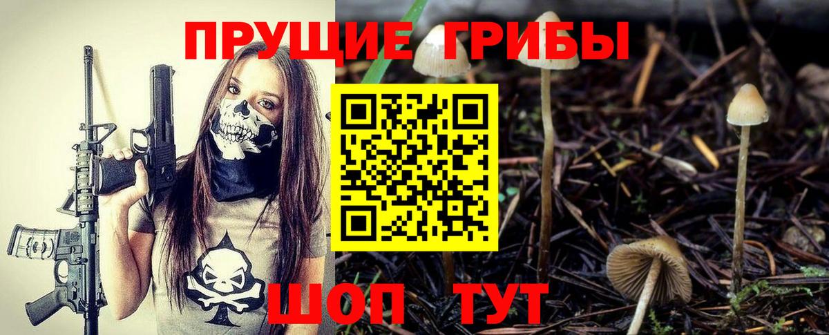Галлюциногенные грибы Psilocybe  дарнет шоп  Богородск  Вход с VPN  Галлюциногенные грибы ЛСД 
